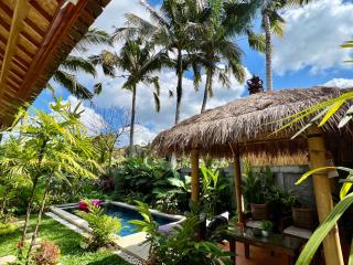 SEAOM Villas - Ubud - 3