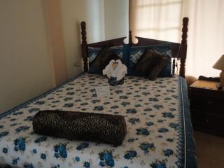 River Park Inn - San Ignacio - 9