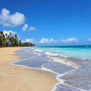 Casa Caminho da Praia Maragogi CondomínioBeira Mar - 4