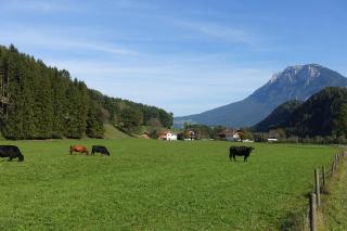 Bleierhof - Kiefersfelden - 6