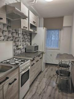 The charming apartment - Cluj-Napoca - 1