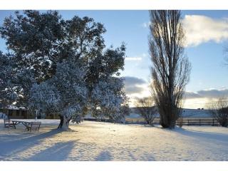 Cabin 1 - Snowy Accommodation - 1