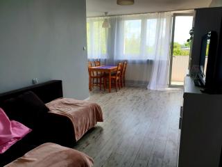 Apartament na Raszyńskiej - Poznań - 7