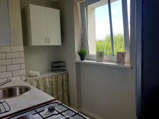Apartament na Raszyńskiej - Poznań - 3