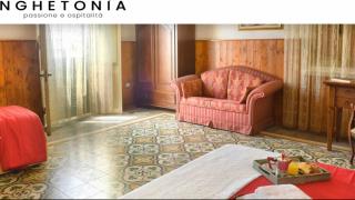 B&B Nghetonia - 9
