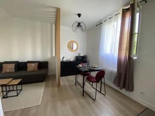 Joli Studio Lumineux et moderne - Champigny-sur-Marne - 1
