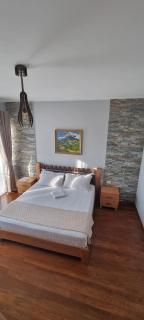 Nurellari Winery Cellar and Guest House - Berati - 2