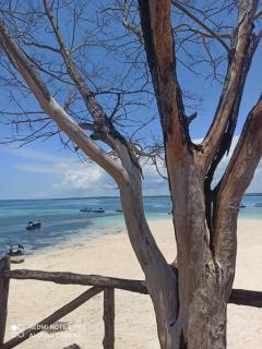 Mambo House - Stone Town - 3