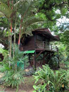 Playa Grande Lodge & Tree House - Cahuita - 8