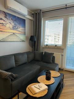 LTS RENT Luxury & Comfortable Residence Letnica - Danzig - 8