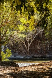 La Dulce Vista Hotel & Villas - Sierra Madre Puerto Vallarta - 3