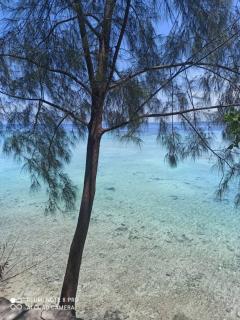 Mambo House - Stone Town - 6