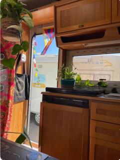 Tibetan Buddhist Jungle Camper - Blanes - 8