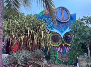 Beachfront Paradise Boutique Hotel - Casa Alebrijes Jacuzzi Suits - Playa Agua Blanca - 4