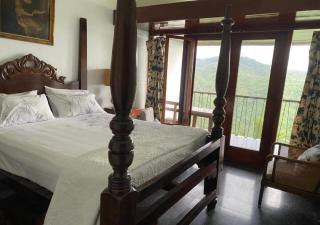 Tranquility Estate - Kingston - 7