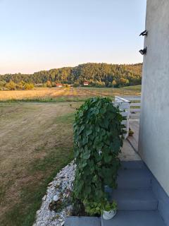 House of the Rising Sun - Bosanska Gradiška - 7