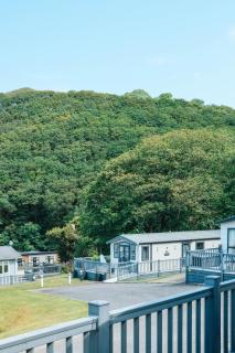 Foxglove Lodge - New Quay - 4