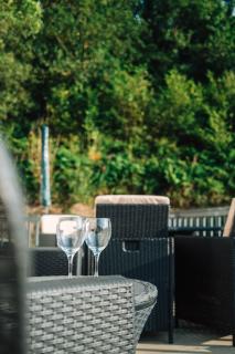Foxglove Lodge - New Quay - 9