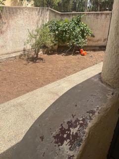 Villa pour Location de Vacances - 5