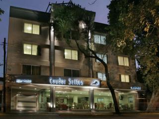 Cóndor Suites Apart Hotel - Mendoza - 7