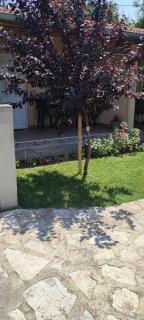 Smeštaj Vrhovac - 3