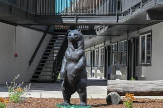 The Jackson SouthTown - Jackson - 5