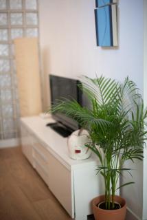 Cozy & Quiet apartment in the center - 1