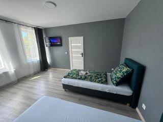 Guben Wohnungen studio - Guben - 8