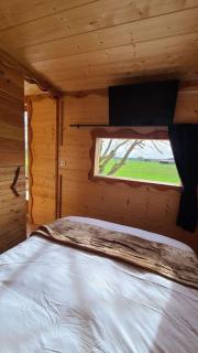 Tiny House Petite Balnéo Cheminée exterieure - Lisle-sur-Tarn - 8