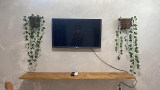 Green house Enseadas - 8