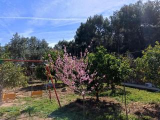 Bedroom with private bathroom and Two-Bedroom Family Suite in quiet forest country house 80m2 large swimming pool music town Lliria The garden and swimmingpool and garden are shared - Lliria - 3