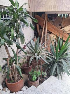 Casa Babylon - Medellín - 3