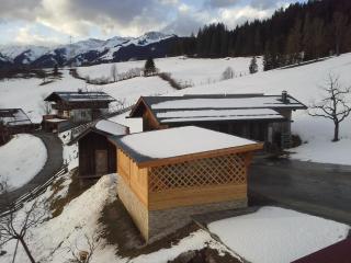 Onemooshof - Maria Alm am Steinernen Meer - 5