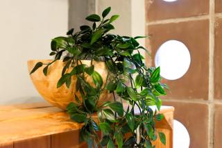 Asomobroso Departamento en la Colonia Condesa - 1