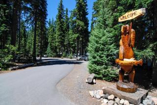 Shelter Cove Resort & Marina - Odell Lake - 5