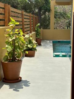 Casa Valovi, Puerto Escondido house, Starlink & wired internet, heated and salty pool - Brisas de Zicatela - 8