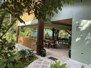 Mayas Nest - Nagcarlan - 6