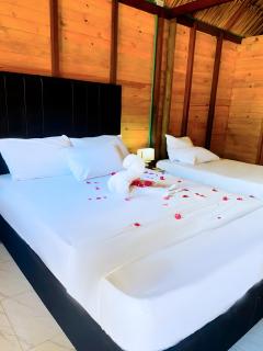 Palma Plata islas del Rosario - 5