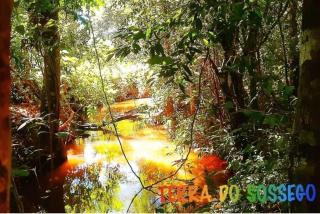 Casa Ampla Na Pousada Terra do Sossego - Rio - Piscinas de Água Mineral - Lazer - Artes - E mais no Espaço mais Especial de Piri - Pirenópolis - 6