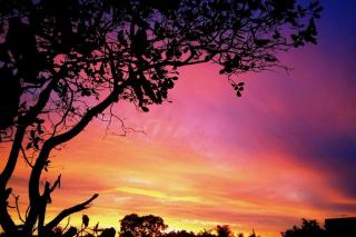 Casa Ampla Na Pousada Terra do Sossego - Rio - Piscinas de Água Mineral - Lazer - Artes - E mais no Espaço mais Especial de Piri - 2