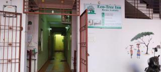 Eco tree - Kottakupam - 7