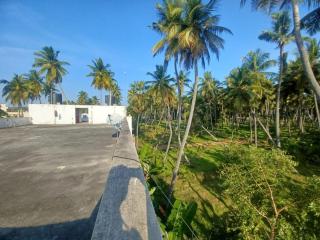 Eco tree - Kottakupam - 4