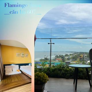IB607 Flamingo Hải Tiến - Thanh Hóa - 4