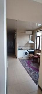 Домрик - Tashkent - 9