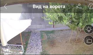 Домрик - Tashkent - 1