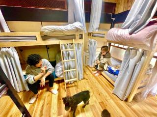 角島シェア&ゲストハウスSumikkoオーシャンビューの犬がいるゲストハウスで特別な交流体験個室とドミトリー - 5