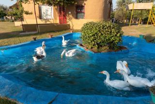 Arise Ethnic Village Resort - Manesar Bilaspur - Gurgaon - 5