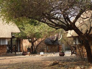 Elephant Memories - Marloth Park - 1