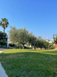 Villa Safira - Durazzo - 7