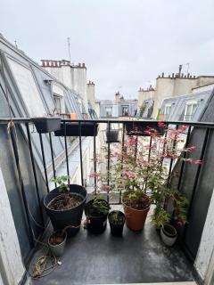 Charmant T2 parisien avec balcon - París - 6